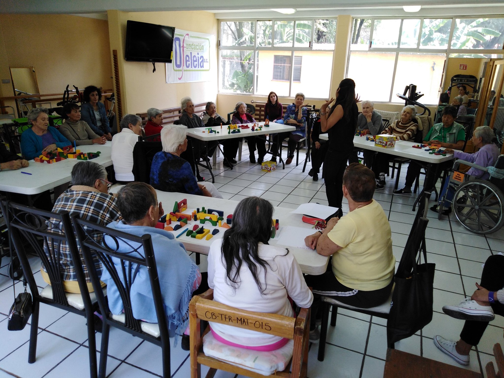 fundacion ofeleia 3