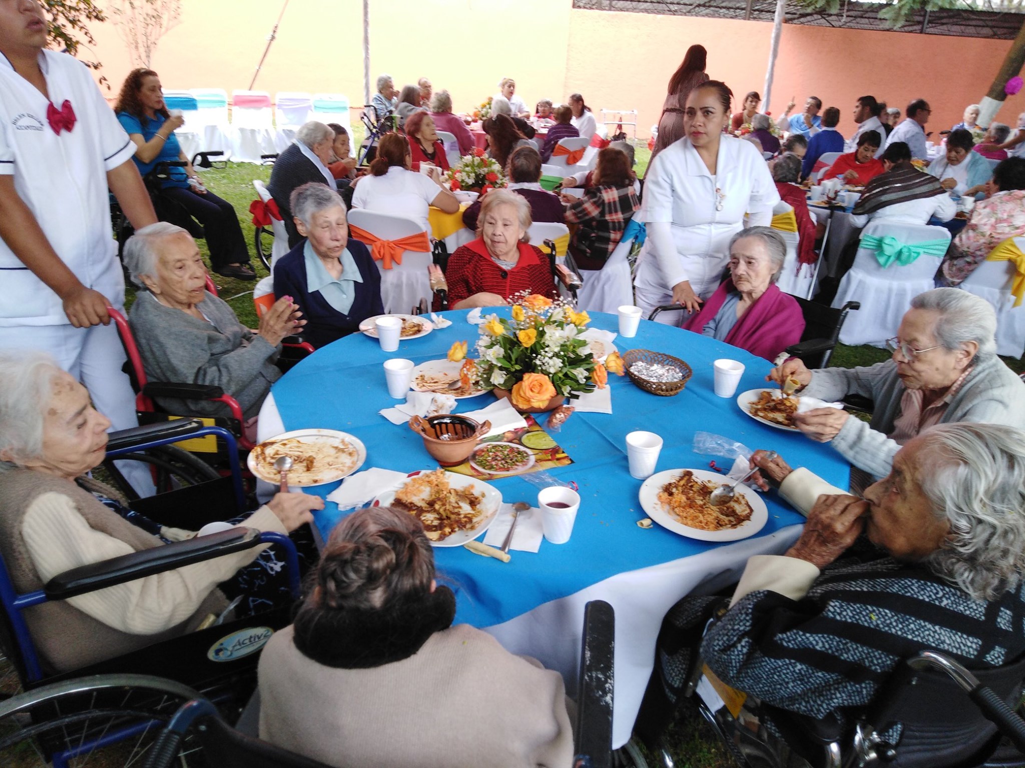 aniversario 115 casa betti 7